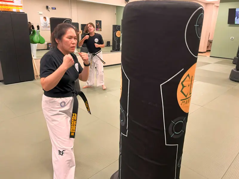 Adult Martial Arts Classes | EMAG South Charlotte