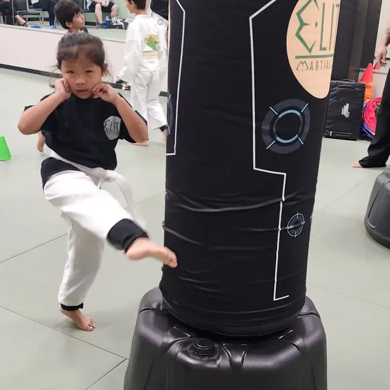 Preschool Martial Arts Classes | EMAG Mint Hill